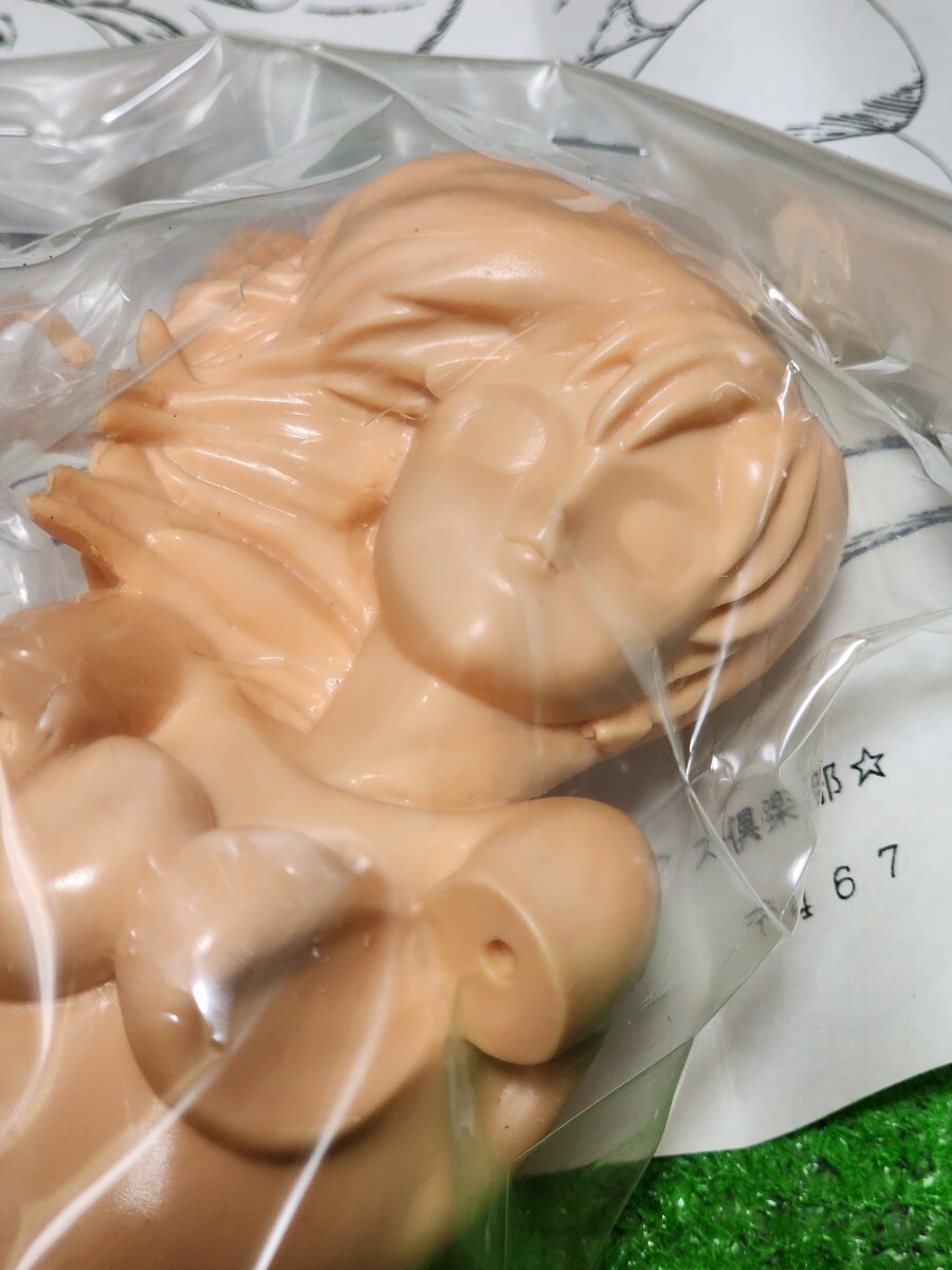 超音戦士ボーグマン　アニス・ファーム　レジン　ガレキ　1/6scale　フィギュア　未組立未塗装　月刊ニュータイプ　ワンフェス_画像5