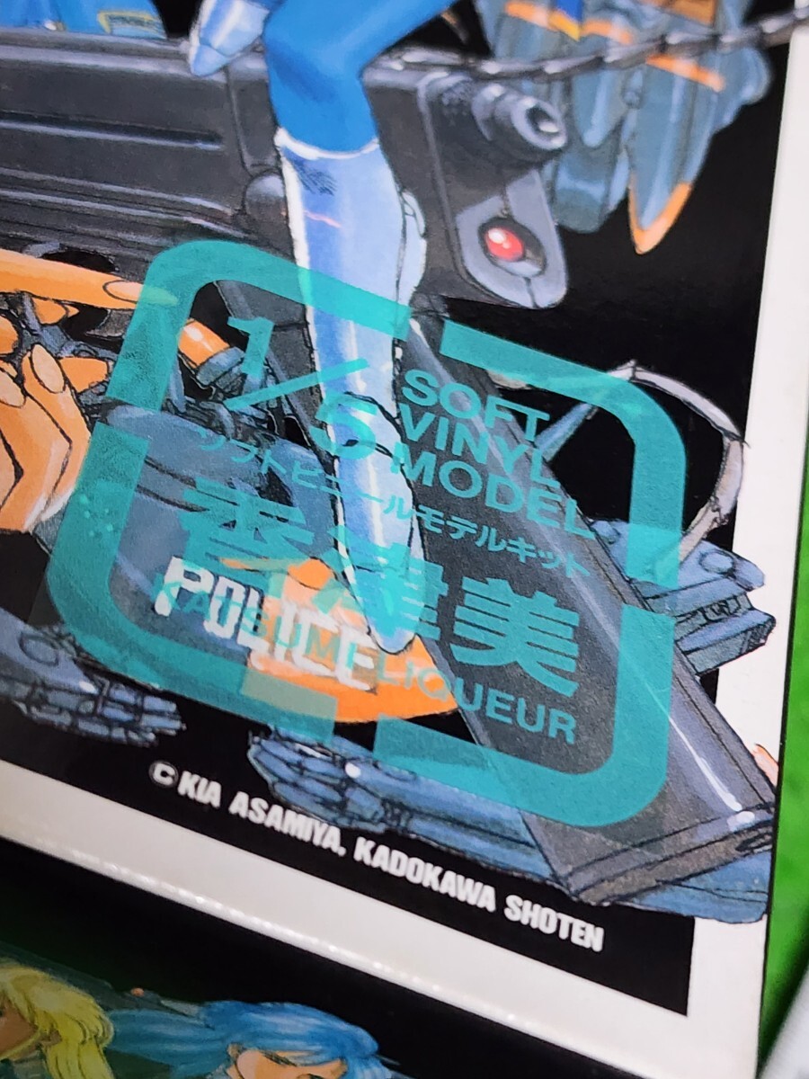 SILENT MOBIUS サイレントメビウス 香津美リキュール ソフビ キャストキット 1/5scale フィギュア 原型ボーメ 麻宮騎亜 ワンフェス _画像3