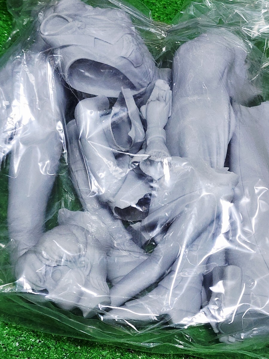 SILENT MOBIUS サイレントメビウス 香津美リキュール ソフビ キャストキット 1/5scale フィギュア 原型ボーメ 麻宮騎亜 ワンフェス _画像4