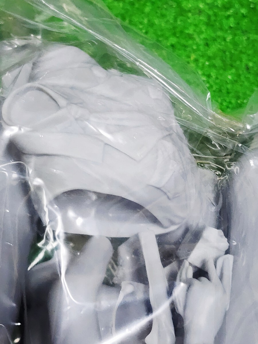 SILENT MOBIUS サイレントメビウス 香津美リキュール ソフビ キャストキット 1/5scale フィギュア 原型ボーメ 麻宮騎亜 ワンフェス _画像7