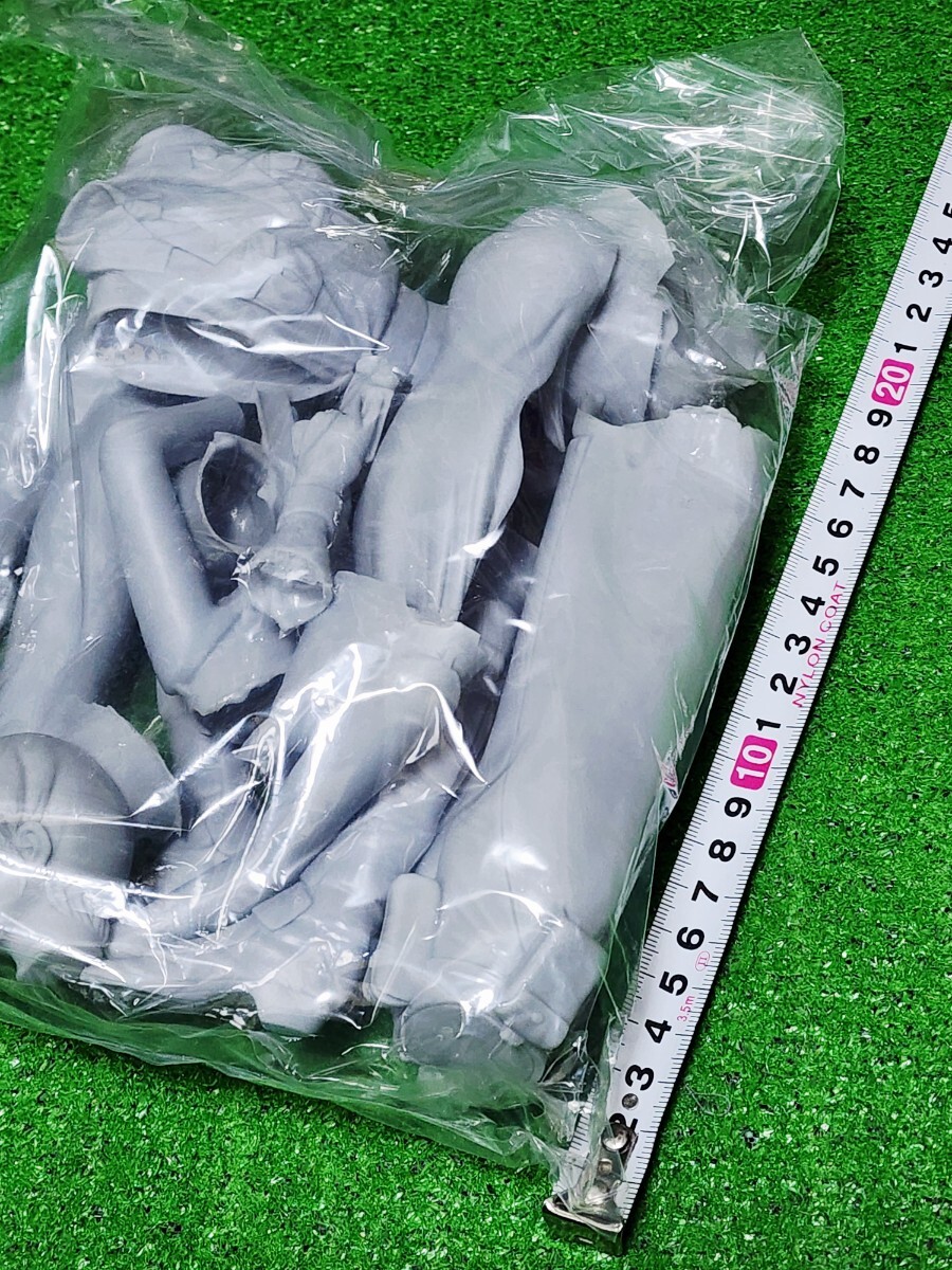 SILENT MOBIUS サイレントメビウス 香津美リキュール ソフビ キャストキット 1/5scale フィギュア 原型ボーメ 麻宮騎亜 ワンフェス _画像10