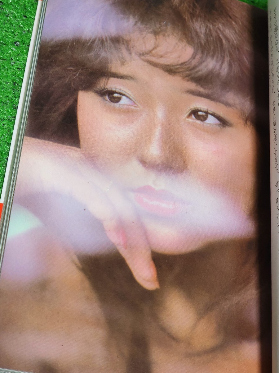 おんなの撮り方 1979年文庫本 相本久美子 浅野温子 浅野ゆう子 大場久美子 荒木由美子 加山麗子 横山エミー 香坂みゆき 秋ひとみ_画像2