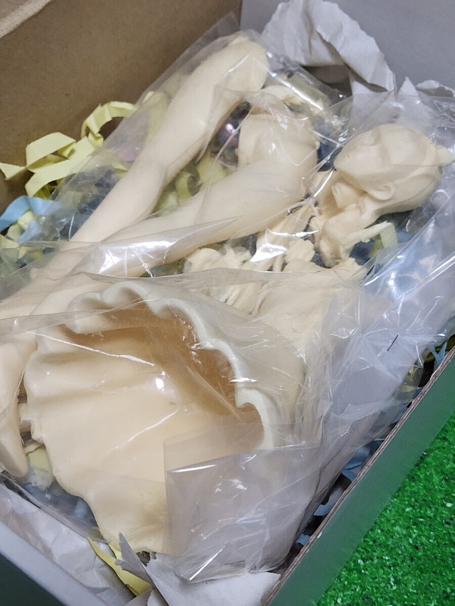 新機動戦記ガンダムW　キャスリン・ブルーム　レジン　ガレージキット　1/6scale HAGANE堂　Catherine Bloom　フィギュア　ワンフェス_画像3