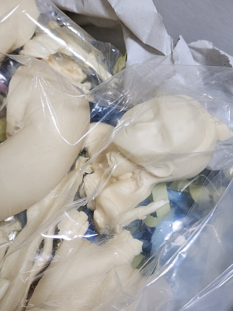 新機動戦記ガンダムW　キャスリン・ブルーム　レジン　ガレージキット　1/6scale HAGANE堂　Catherine Bloom　フィギュア　ワンフェス_画像4