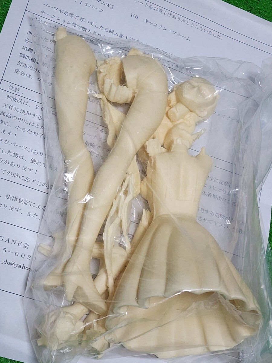 新機動戦記ガンダムW　キャスリン・ブルーム　レジン　ガレージキット　1/6scale HAGANE堂　Catherine Bloom　フィギュア　ワンフェス_画像5