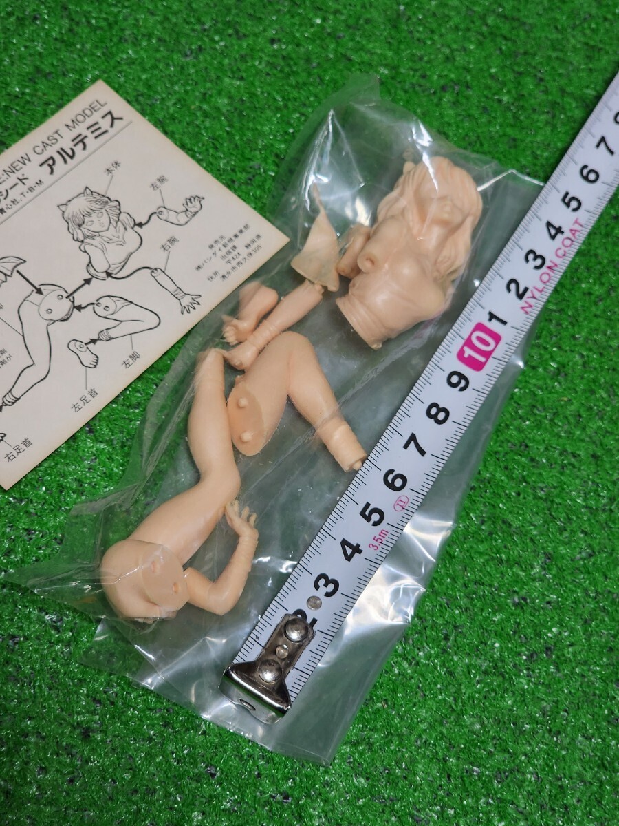 アップルシード　アルテミス　レジン　ガレキ　1/12scale 　キャストキット　士郎正宗　B-CLUB　フィギュア　未組立　ワンフェス_画像7