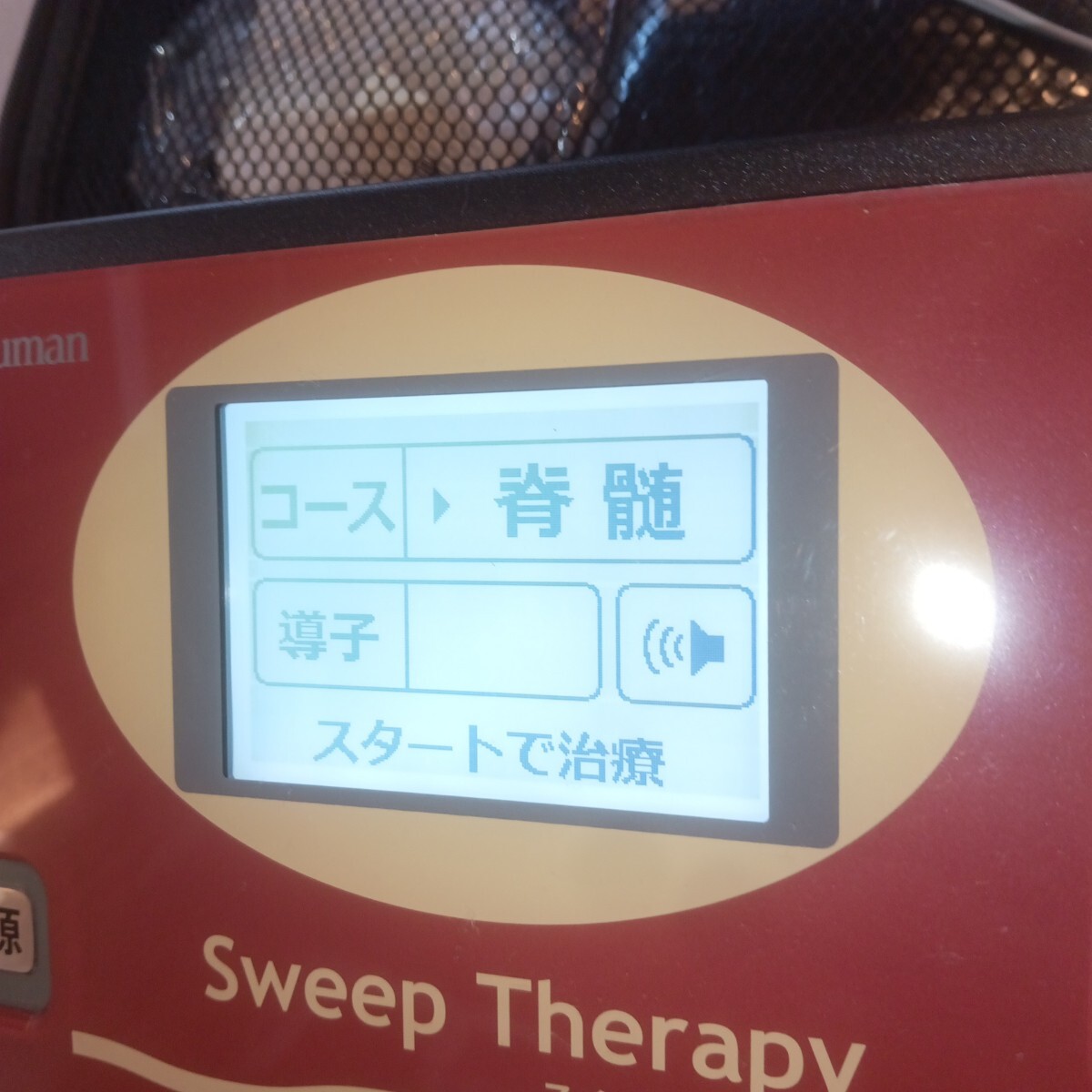 スイープセラピー　sweep therapy LFP2EX 家庭用電気治療器　マルタカテクノ　ExcelHuman　_画像5