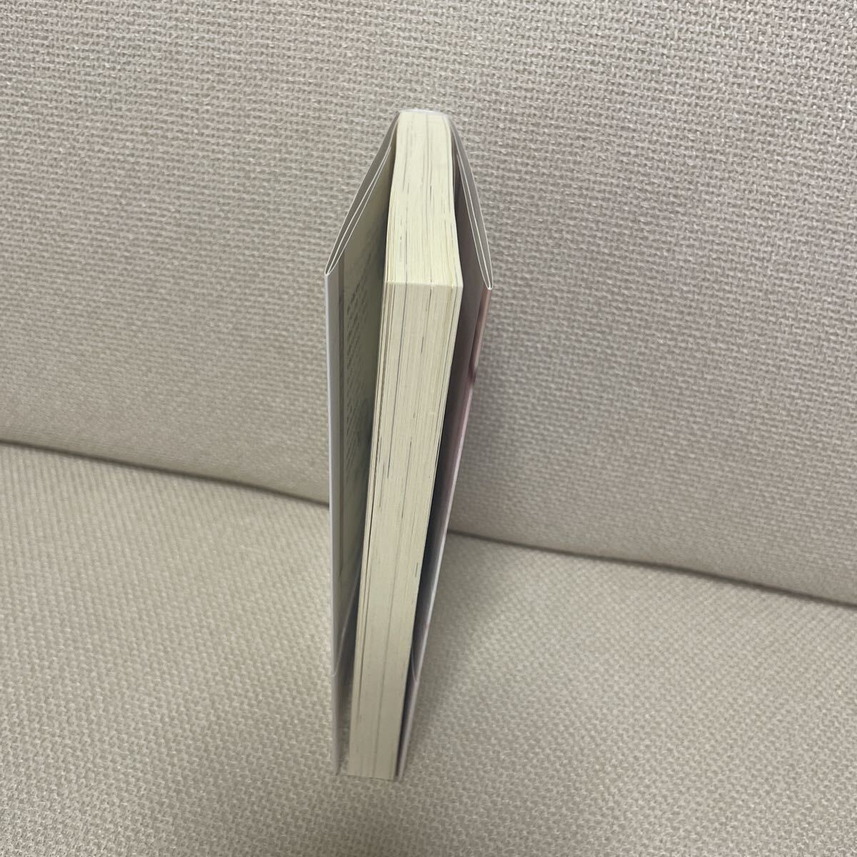 かわい有美子　月の旋律、暁の風_画像2