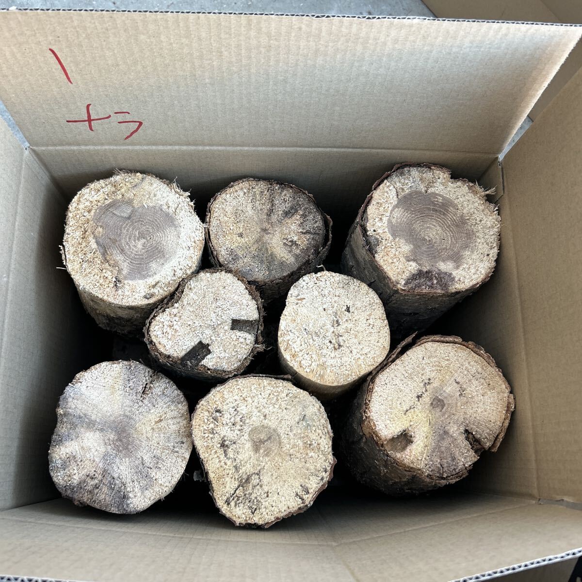 1nala нестандартный цвет насекомое . производство мягкость .. насекомое дыра есть почернение cut более . и т.п. ... дерево производство яйцо дерево Chiba .. длина примерно 13cm 1nala нестандартный цвет насекомое . производство мягкость .. насекомое дыра есть почернение cut более . и т.п. ... дерево производство яйцо дерево Chiba .. длина примерно 13cm