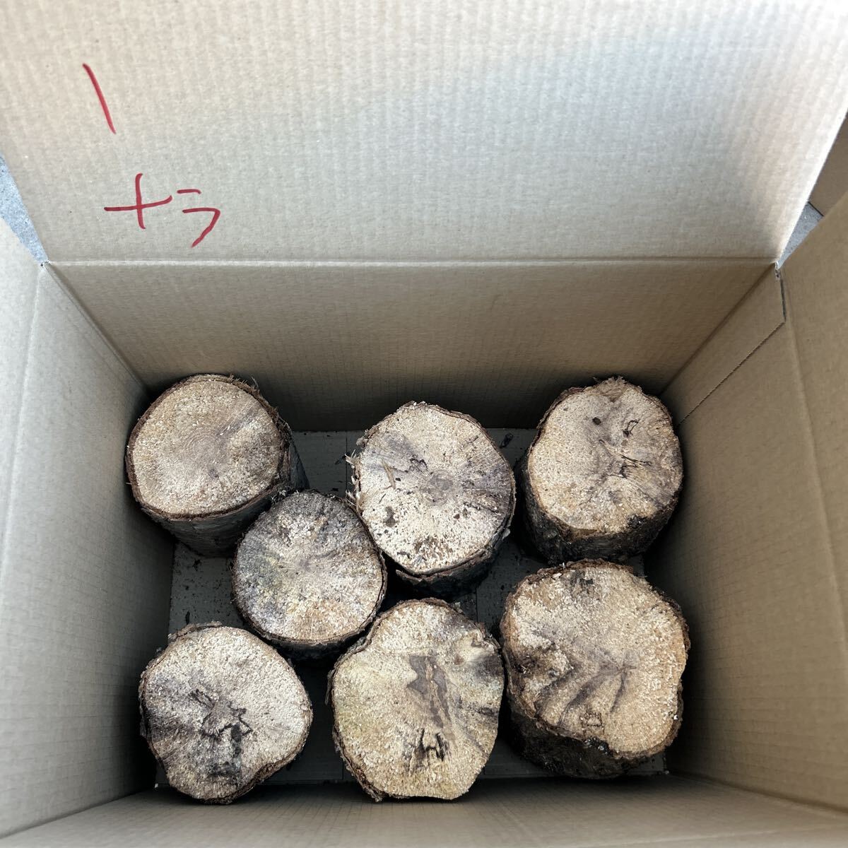 1nala нестандартный цвет насекомое . производство мягкость .. насекомое дыра есть почернение cut более . и т.п. ... дерево производство яйцо дерево Chiba .. длина примерно 13cm