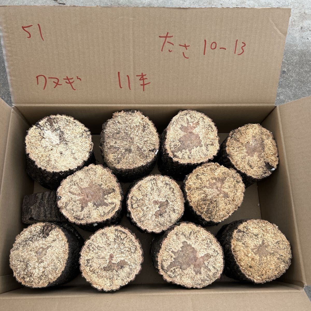 51 мягкость дуб острейший 1 1 шт. толщина примерно 10~13cm длина примерно 14 cm... дерево производство яйцо дерево Chiba префектура .. долгосрочное хранение возможность 51 мягкость дуб острейший 1 1 шт. толщина примерно 10~13cm длина примерно 14 cm... дерево производство яйцо дерево Chiba префектура .. долгосрочное хранение возможность