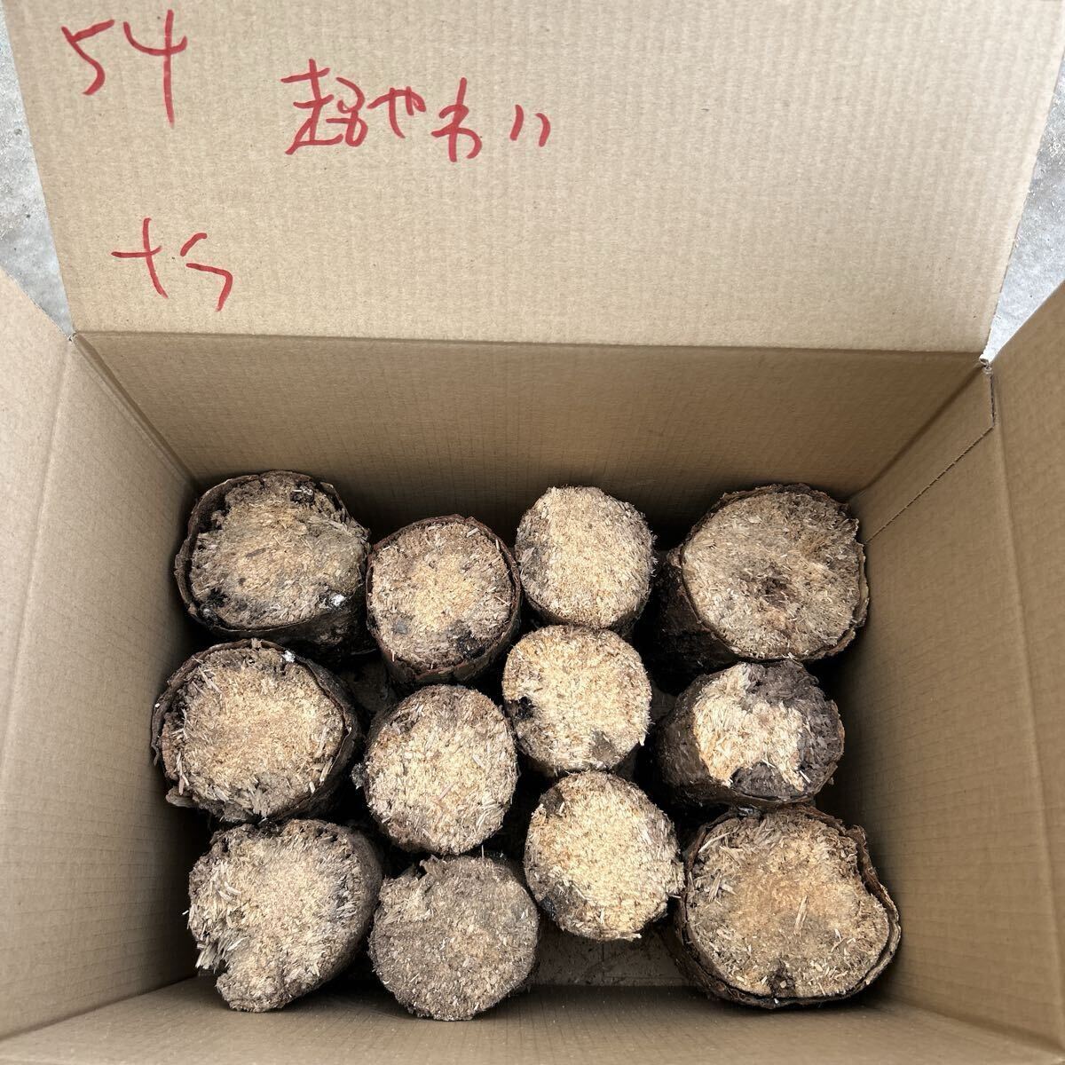 54 супер мягкость только nala нестандартный цвет насекомое . производство мягкость .. насекомое дыра есть почернение cut более . и т.п. ... дерево производство яйцо дерево Chiba .. длина примерно 13cm