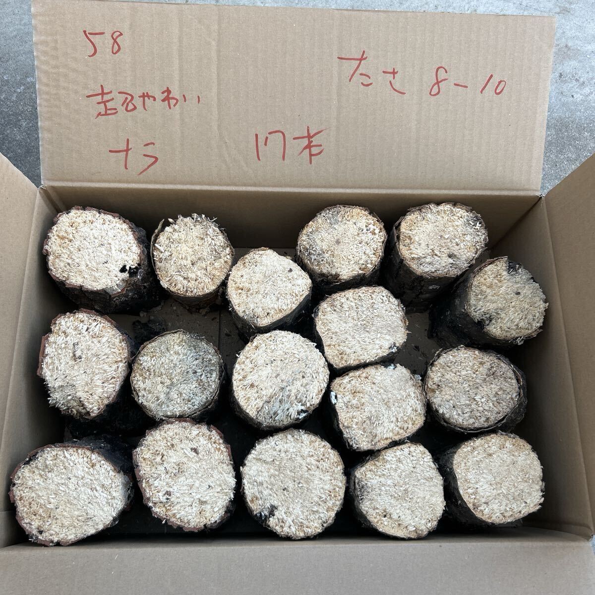 58 супер мягкость nala17шт.@ толщина примерно 8~10cm длина примерно 14 cm... дерево производство яйцо дерево Chiba префектура .. долгосрочное хранение возможность 58 супер мягкость nala17шт.@ толщина примерно 8~10cm длина примерно 14 cm... дерево производство яйцо дерево Chiba префектура .. долгосрочное хранение возможность