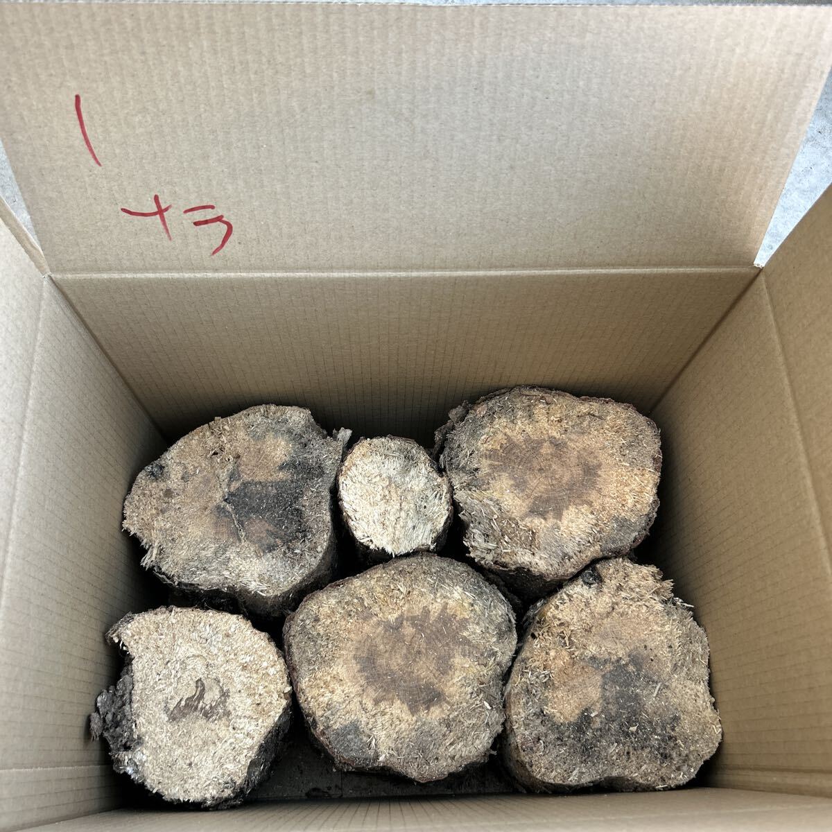 1nala нестандартный цвет насекомое . производство мягкость .. насекомое дыра есть почернение cut более . и т.п. ... дерево производство яйцо дерево Chiba .. длина примерно 13cm