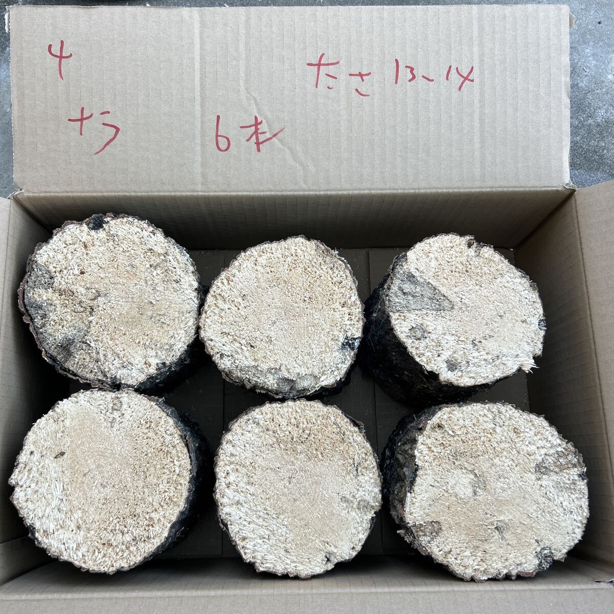 4 мягкость nala6шт.@ толщина примерно 13~14cm длина примерно 14 cm... дерево производство яйцо дерево Chiba префектура .. долгосрочное хранение возможность 