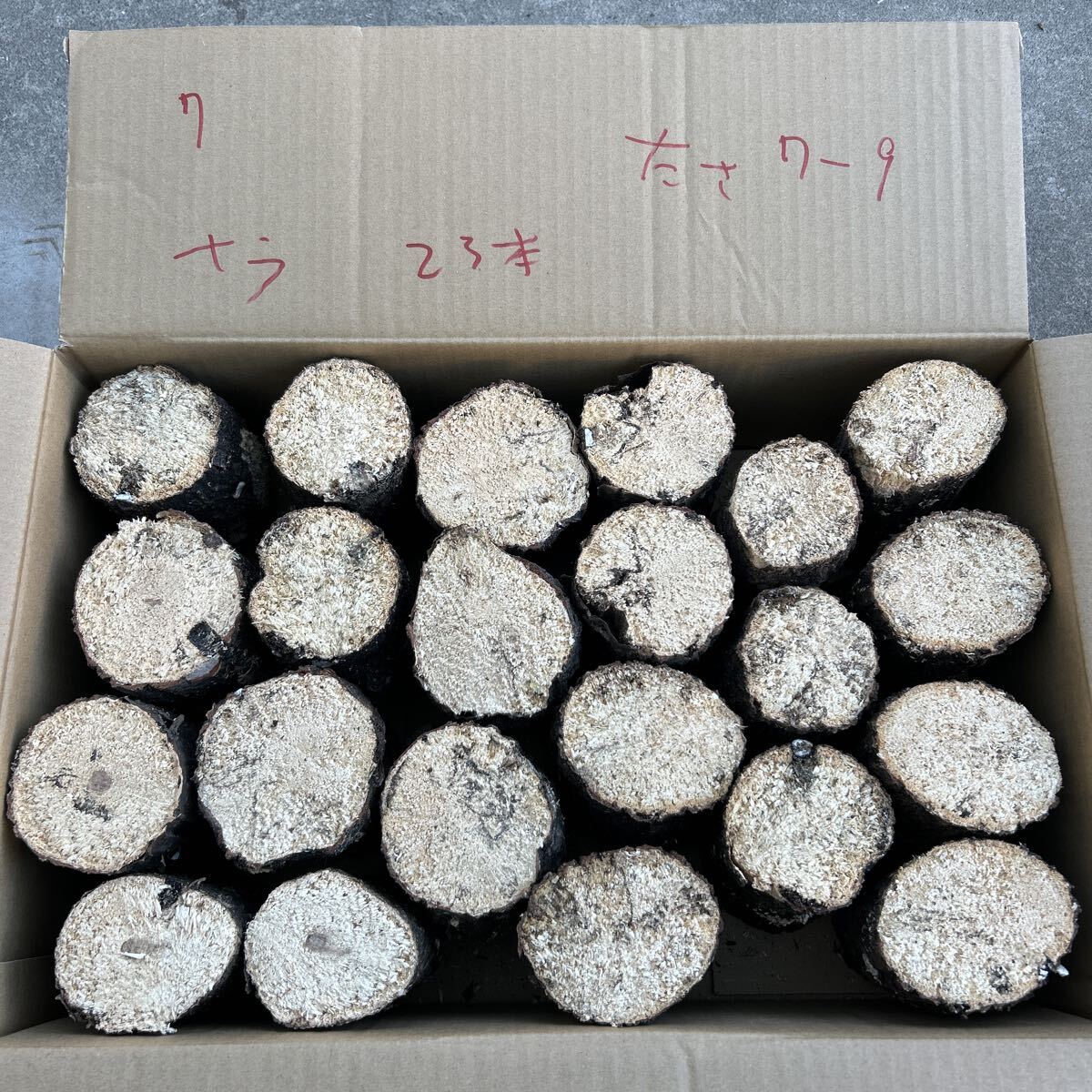 7 мягкость nala23шт.@ толщина примерно 7~9cm длина примерно 14 cm... дерево производство яйцо дерево Chiba префектура .. долгосрочное хранение возможность 