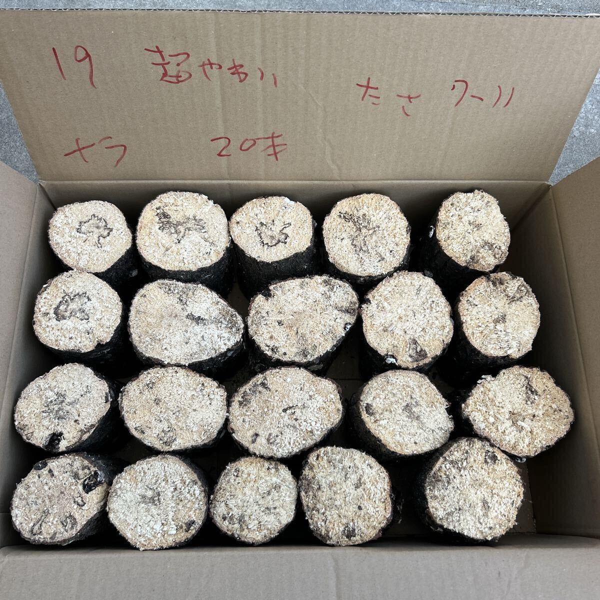 19 супер мягкость nala20шт.@ толщина примерно 7~11cm длина примерно 14 cm... дерево производство яйцо дерево Chiba префектура .. долгосрочное хранение возможность 