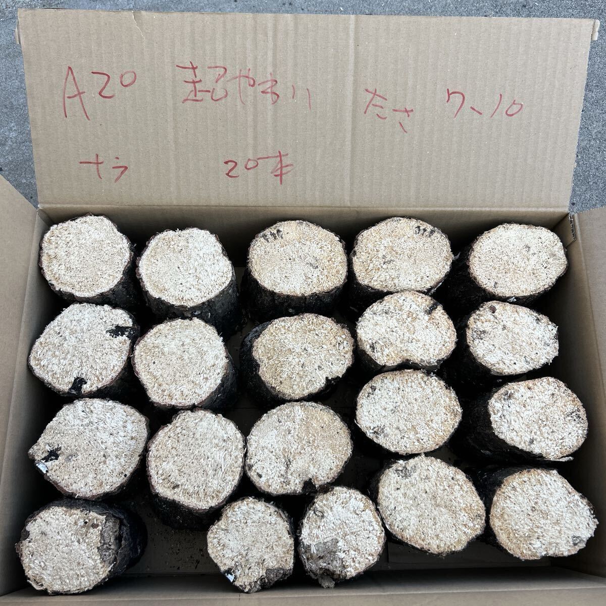 20 A супер мягкость nala20шт.@ толщина примерно 7~10cm длина примерно 14 cm... дерево производство яйцо дерево Chiba префектура .. долгосрочное хранение возможность 