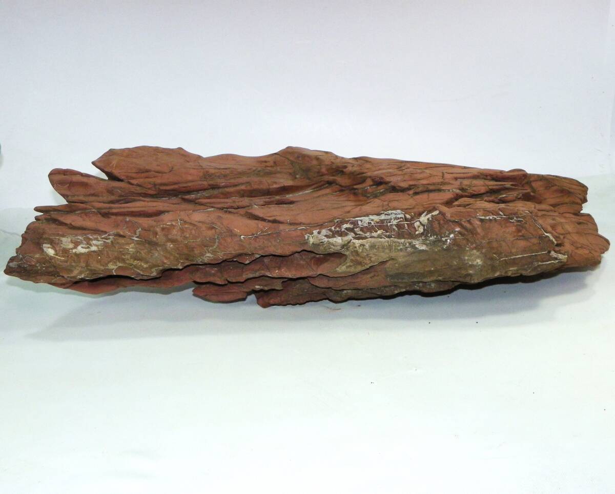 ゆうパック.120サイズ送料記載済み 天然石 紅石だと思います 庭石.飾り W/58cm位・H/30cm位・D/12cm位・22Kg位(赤枠.楽)_画像2