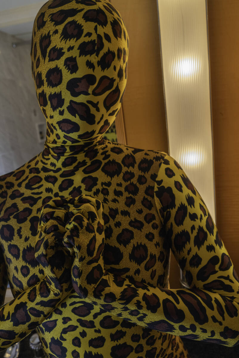 24012712 [Traditional Leopard] Sale of Zentai Pictures by Marcy Anarchy_画像3