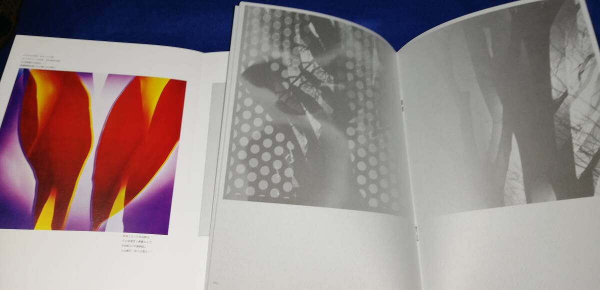 ●　写真集 石元泰博　多重露光　2009年　武蔵野美術大学資料図書館　73-3ｓ_画像5