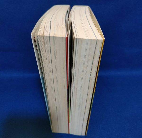 ● マンガ VERSION バージョン 上下2巻 坂口尚 講談社漫画文庫 2000・2001年初版 E07P22_画像3