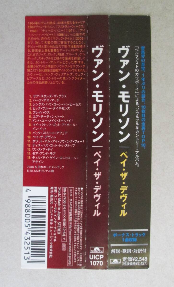 ヴァン・モリソン / ペイ・ザ・デヴィル　 国内盤　Van Morrison / Pay The Devil_画像2