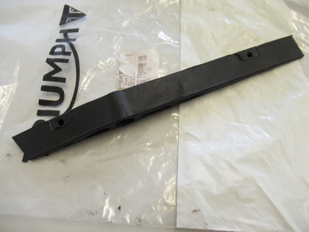 トライアンフ 純正新品 Tiger スイングアーム ダンパー、Rubbing Strip T2051767_画像1