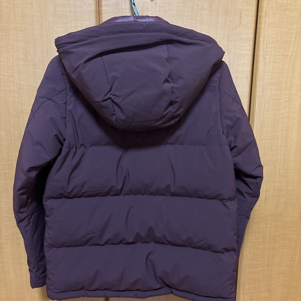 新品激安 THE NORTH FACE ザ・ノース・フェイス定価3.4万 PREMIUM GOOS DOWN使用 パッカブル フーデッド ダウンジャケット G81 DPV_画像4