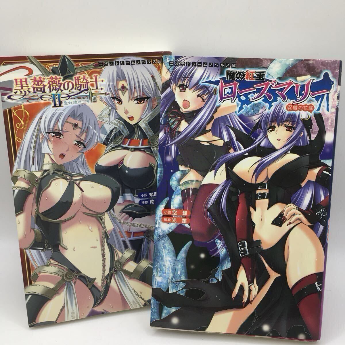 二次元ドリームノベルズ 2冊まとめて 黒薔薇の騎士2 聖奴隷ローザ 魔の紅玉ローズマリー 呪縛の花嫁 筑摩十幸 助三郎 空蝉 光星_画像1