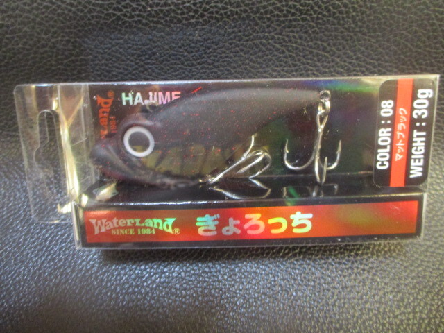 （F.BIG-2）ウォーターランド　ぎょろっち・30g　マットブラック　新品未使用！　_画像1