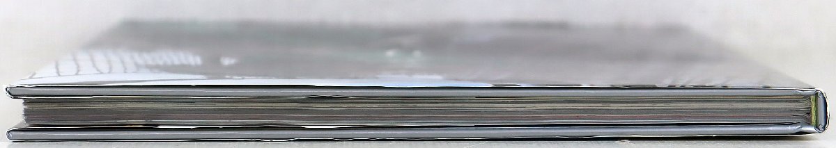 P◆中古品◆女性写真集 『HOTEL マンダリン 鳥越 マリ』 ぶんか社 笠井 爾示 初版発行:1999年2月10日 タレント 歌手 女優 鳥越孝子・マリ_画像6