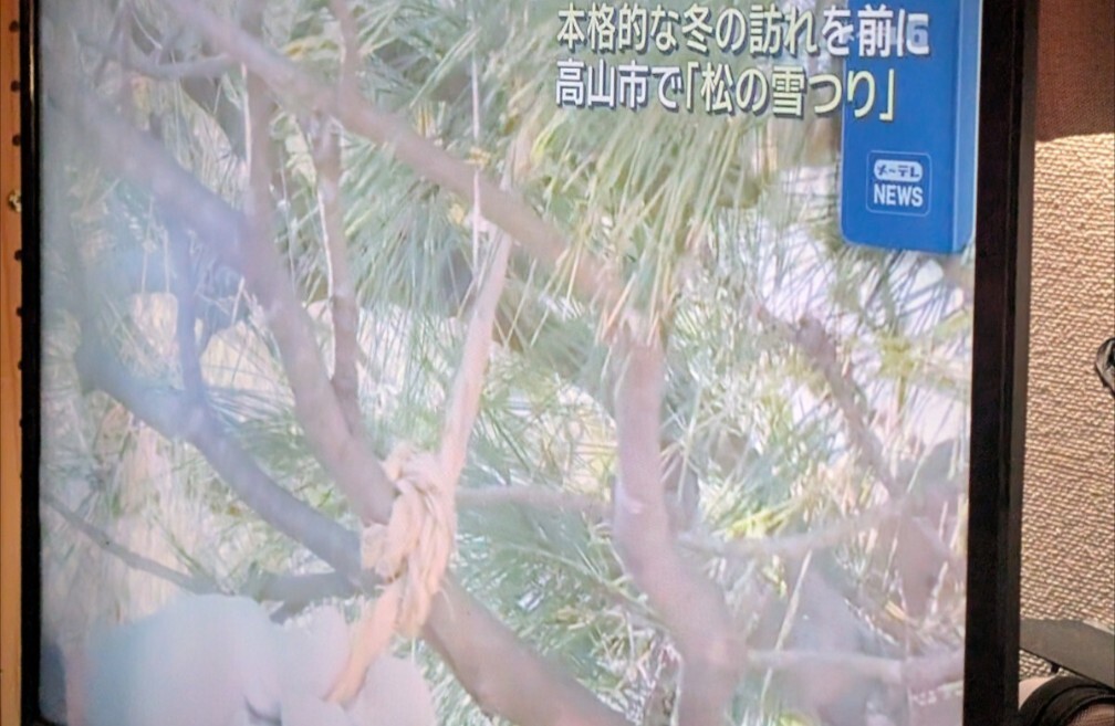 TOSHIBA 東芝 DBR-W508 BDレコーダー SSD 1TB 2チューナー 2018年製　動作品　整備済み レコーダー_画像3