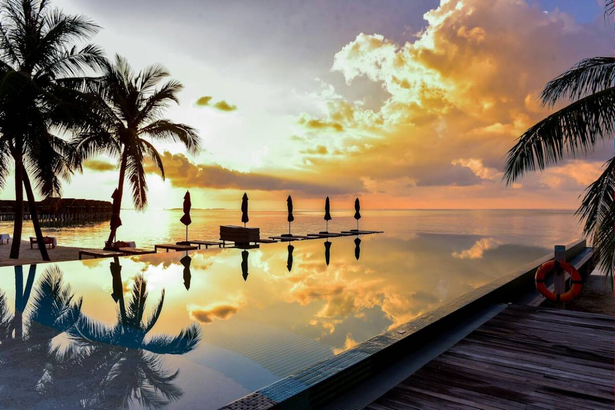 1円即決 フリー画像 フリー素材 8_画像1