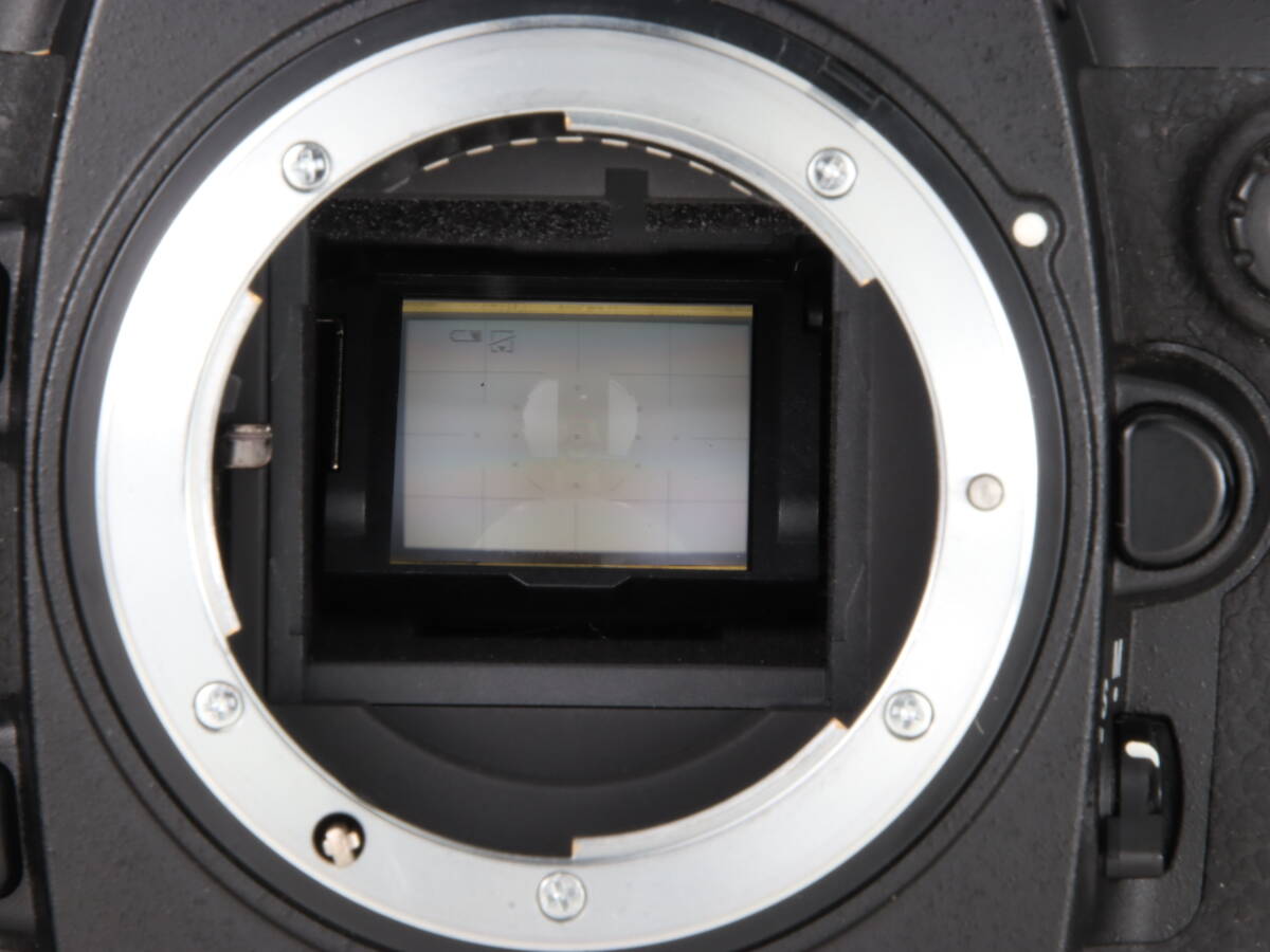 【美品】ニコン Nikon D200 ボディ 完動品 シャッター数18,922回 元箱・チャージャー・ストラップ・取説・簡単操作ガイド付き #8582_画像8