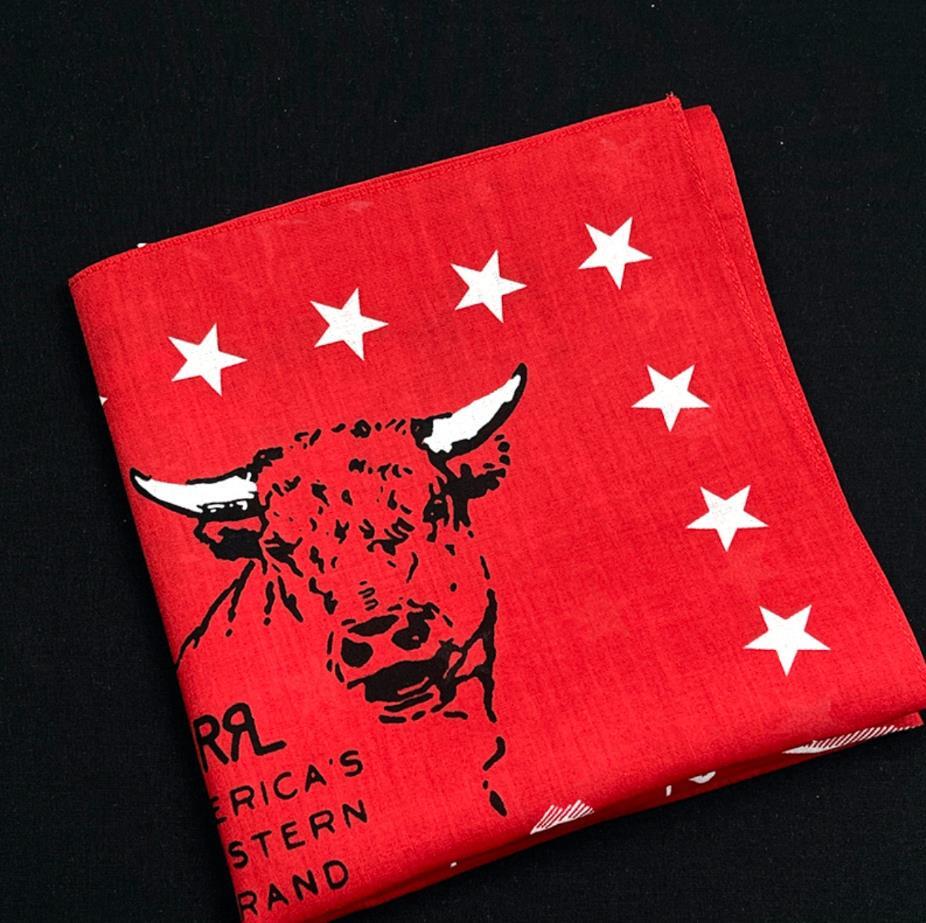 FRN3 バンダナ フ ハンカチ スカーフ ヴィンテージ 牛 未使用 RRL _画像5