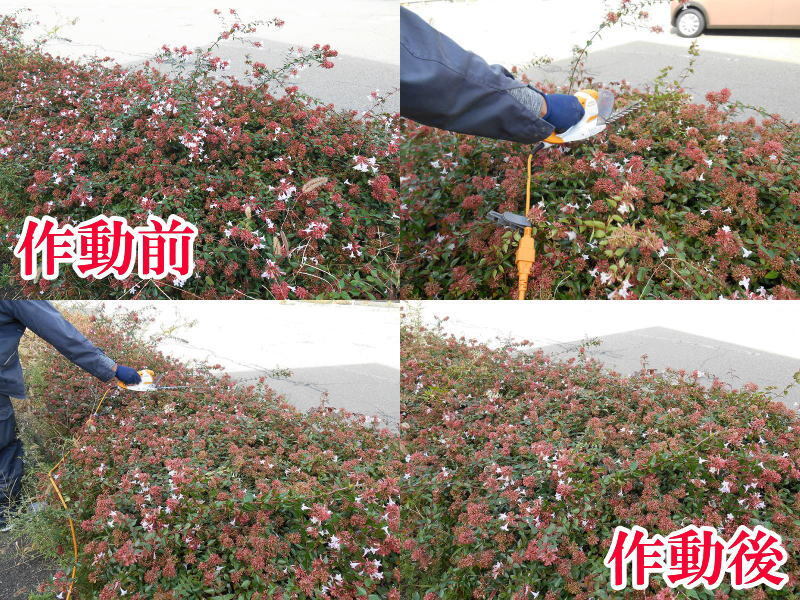 〇 京セラ KYOCERA ヘッジトリマー HT-2110 ヘッジトリマ トリマー トリマ 生垣バリカン バリカン 剪定 庭 造園 園芸 草刈 100V No.5534_画像9