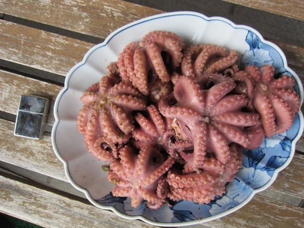 やわらか「ヤナギダコ3kg」　シャブシャブ、お刺身、焼き、煮付け、たこ焼き_画像3