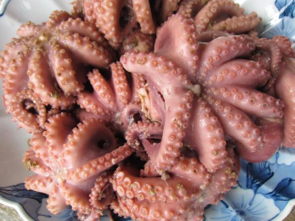 やわらか「ヤナギダコ3kg」　シャブシャブ、お刺身、焼き、煮付け、たこ焼き_画像2