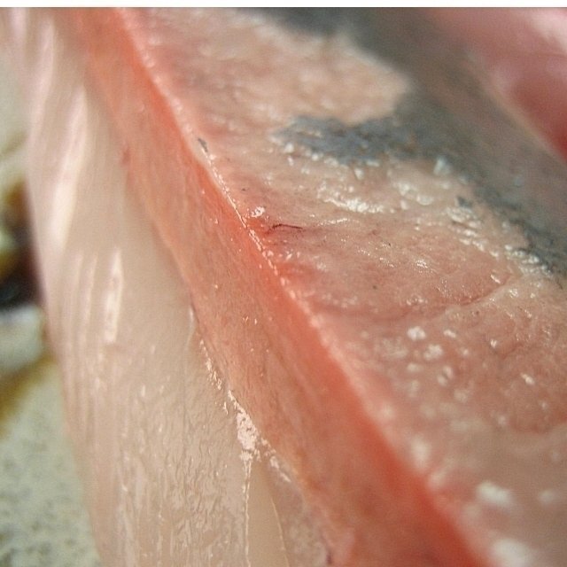 脂のってます!!「天然ブリの子 1.5-2.5kg」ツバス...とれたて直送!!境港産_画像6