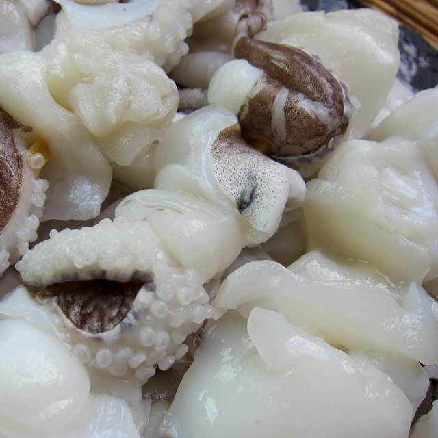 高級珍味「紋甲烏賊、げそ串(40g×20本)」業務用_画像5