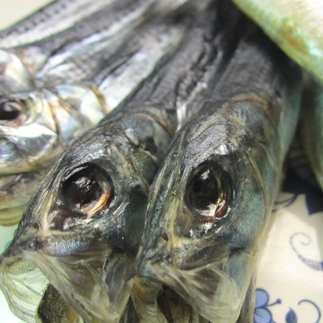 特大「イワシ丸干し500g」はんなま製品、地物!!めちゃめちゃ脂のってます!!_画像3