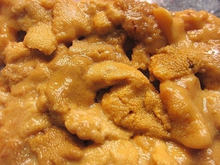 ミョウバン不使用「ブランチ雲丹100g」くずれあり、色黒含む チリ産_画像5