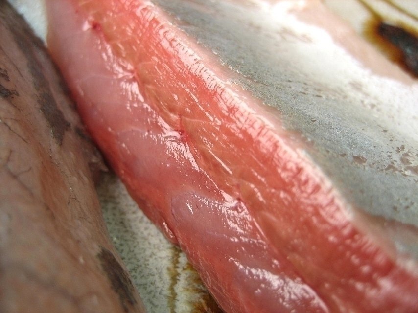 今が旬「天然ブリの子 2.5-3.5kg」ハマチ...とれたて直送!!境港産_画像8