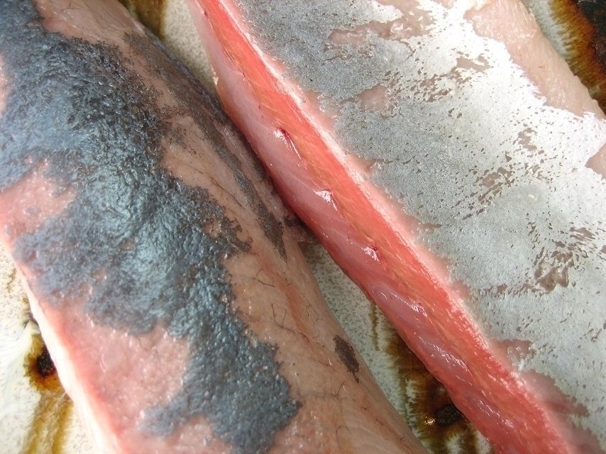 脂のってます!!「天然ブリの子 1.5-2.5kg」ツバス...とれたて直送!!境港産_画像10