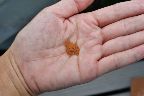 最安値！食いつき抜群！！リッチB・２00ｇ　 科学飼料研究所　　メダカ　川魚　金魚等_画像4