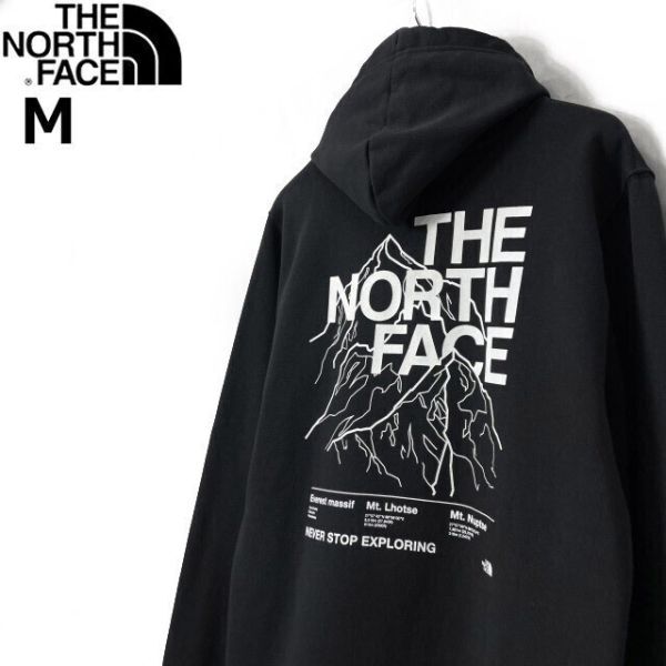 1円～!売切!【正規新品】THE NORTH FACE◆NOVELTY GRAPHIC HOODIE プルオーバー パーカー US限定 グラフィック 男女兼用(M)黒 181130-33_画像1