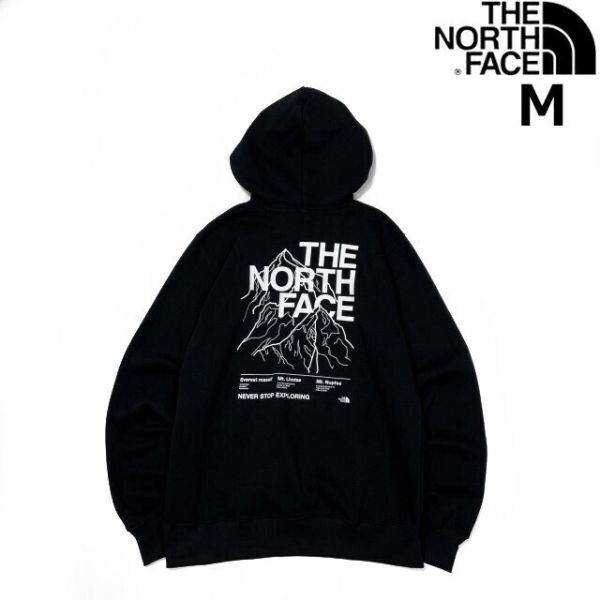 1円～!売切!【正規新品】THE NORTH FACE◆NOVELTY GRAPHIC HOODIE プルオーバー パーカー US限定 グラフィック 男女兼用(M)黒 181130-33_画像2