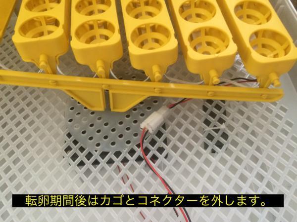 fu. контейнер LED56.. контейнер . яйцо контейнер осмотр яйцо c функцией вращение яйцо c функцией in kyu Beta -