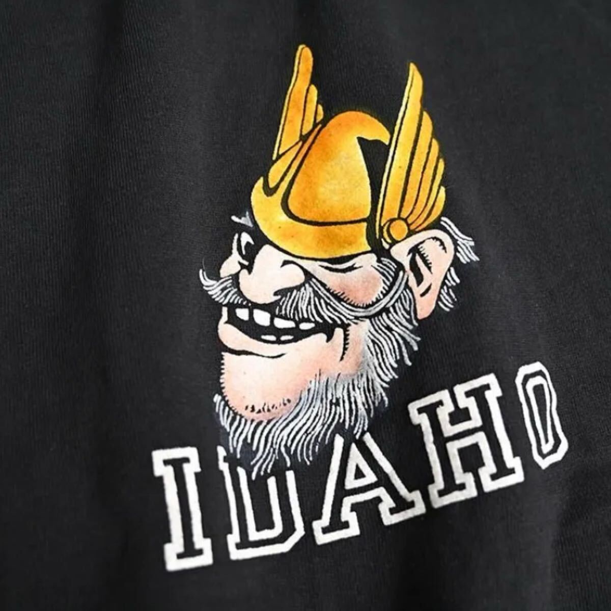 超希少&BIGサイズ!VTG 1960’s IDAHO COLOR FLOCK PRINT L/BLACK BODY SWEATSHIRT MINT USAビンテージカラーフロッキーブラックスウェット_画像1